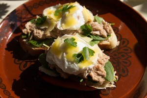 poached eggs