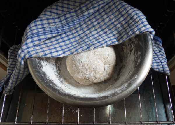 Bread dough ready to rise