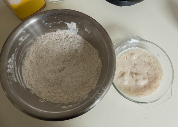 Proofed yeast ready to add to flour